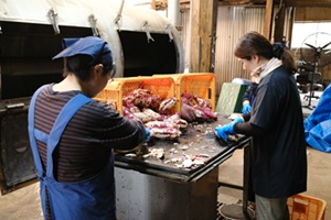 Shochu4 (April 22, 2025 ` )