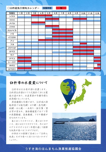 臼杵ん地魚